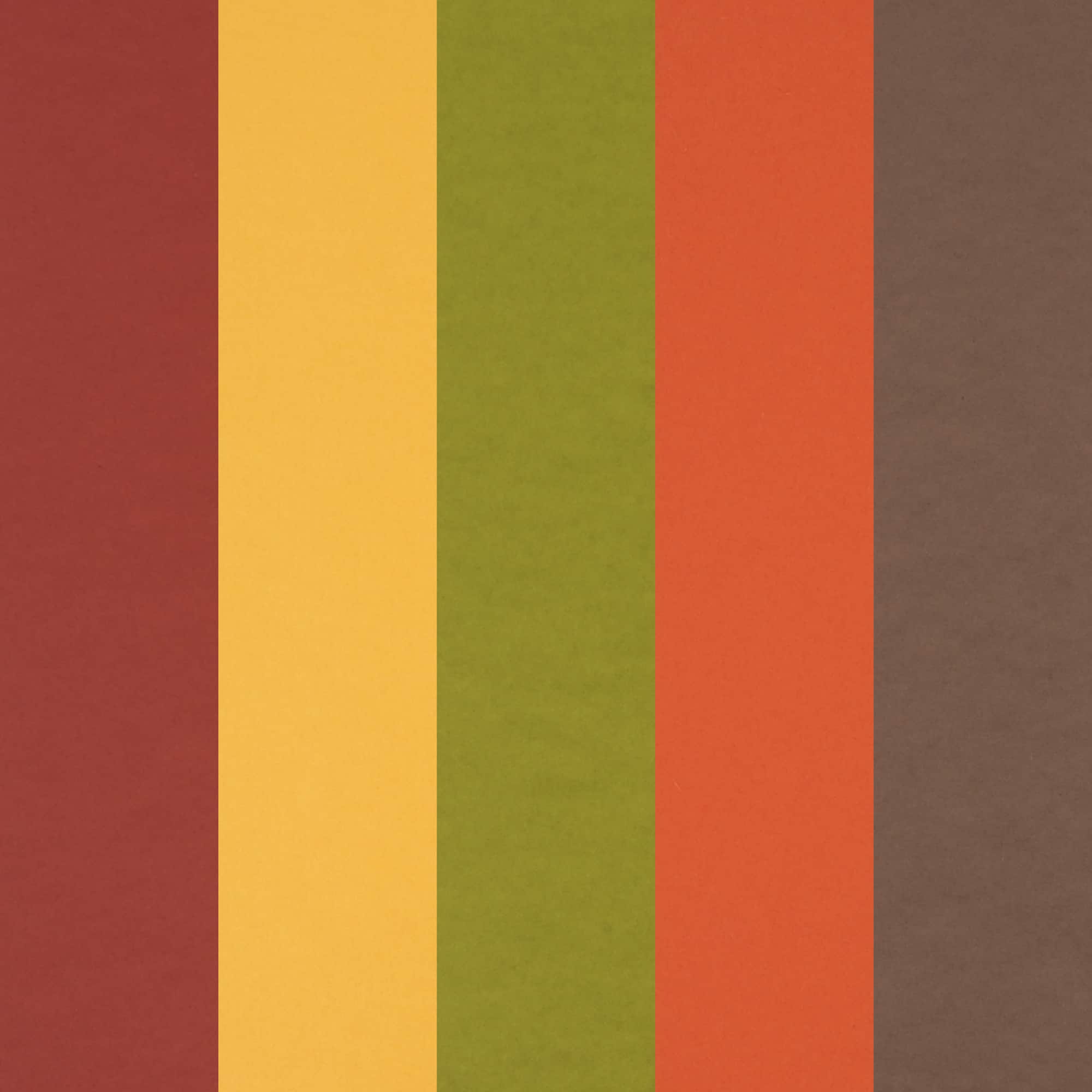 12 Packs: 50 ct. (600 total) Spice Market 8.5" x 11" Cardstock Paper by Recollections™